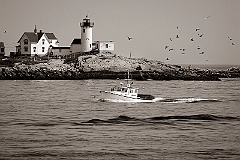 Eastern Point Lighthouse Guides Lobster Boat -Sepia Tone
